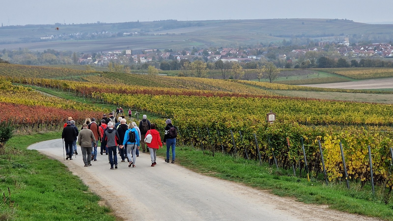 herbstwanderung-buergertreff-2024